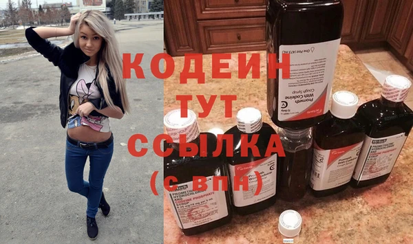 хмурый Сосновоборск