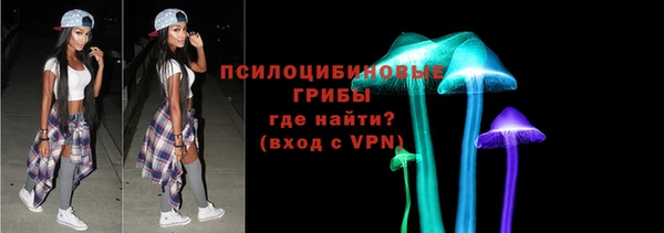хмурый Сосновоборск