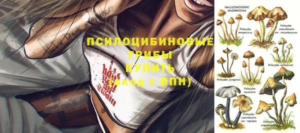 бошки Сосновый Бор