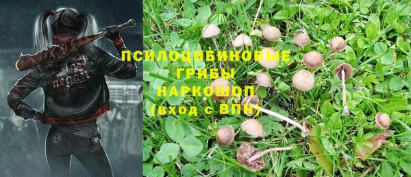 бошки Сосновый Бор