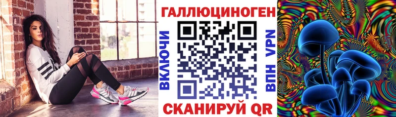 Псилоцибиновые грибы Cubensis  Купить где  Сосновый Бор 